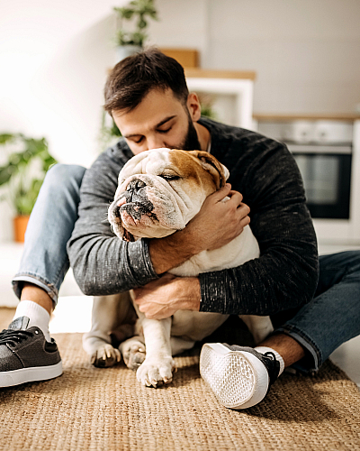 Cozy living space with natural light, featuring a man lovingly embracing a bulldog on a woven rug, surrounded by plants and modern furnishings.