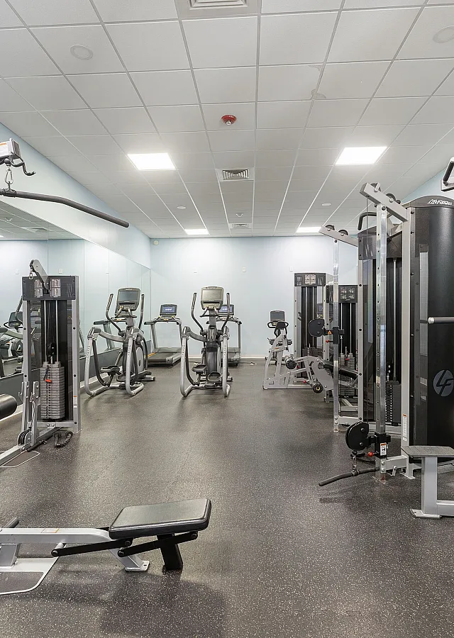 Modern gym with state-of-the-art fitness equipment, featuring cardio machines and weight training stations in a well-lit, spacious setting.