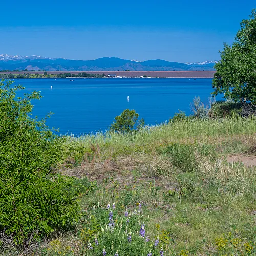Breathtaking lakeside view with lush greenery and distant mountains under a clear blue sky.