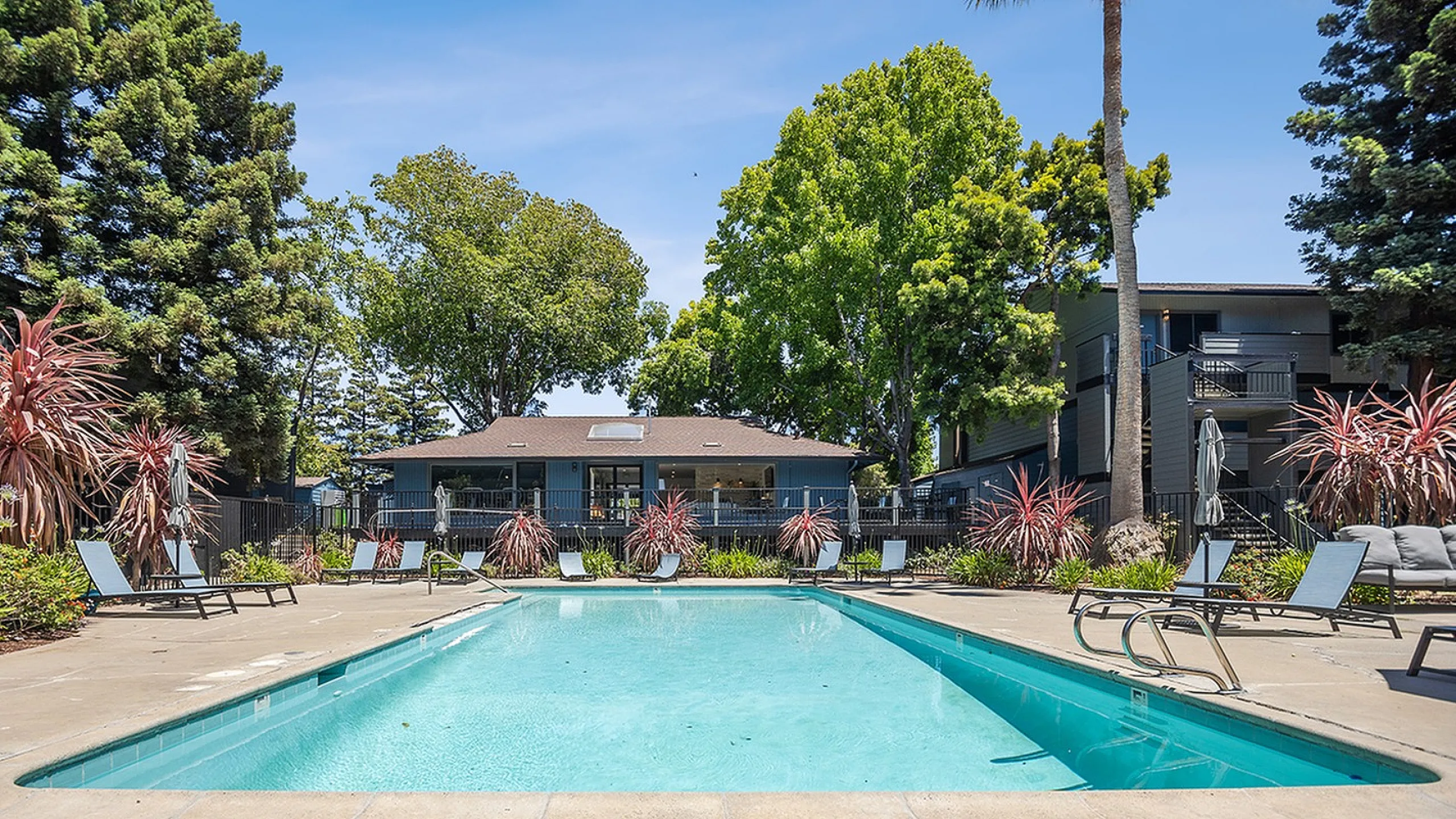 Inviting outdoor pool area surrounded by lush greenery and stylish loungers, perfect for relaxation and leisure.