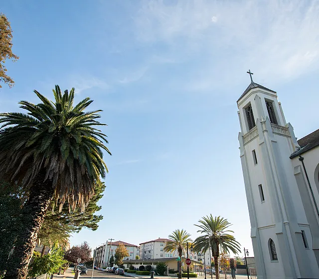 Charming urban scene with a majestic church tower, lush palm trees, and inviting residential buildings under a clear blue sky.