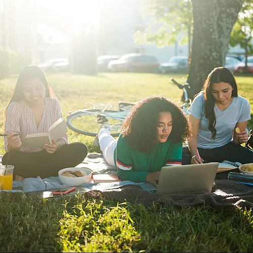 Joyful group of friends enjoying a sunny picnic, working and relaxing on a blanket with snacks and a laptop in a vibrant outdoor setting.