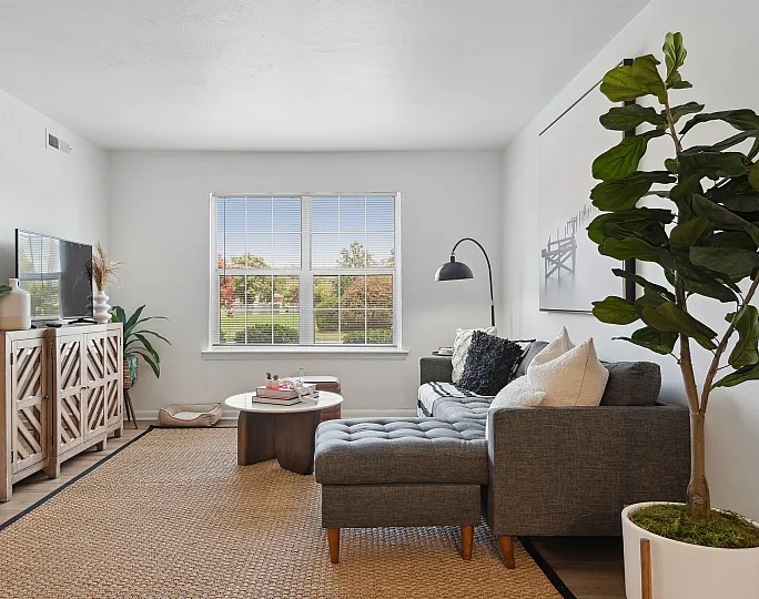 Bright, modern living room at ReNew Virginia Beach with cozy gray sectional, stylish wooden console, and lush greenery, offering comfort and elegance.