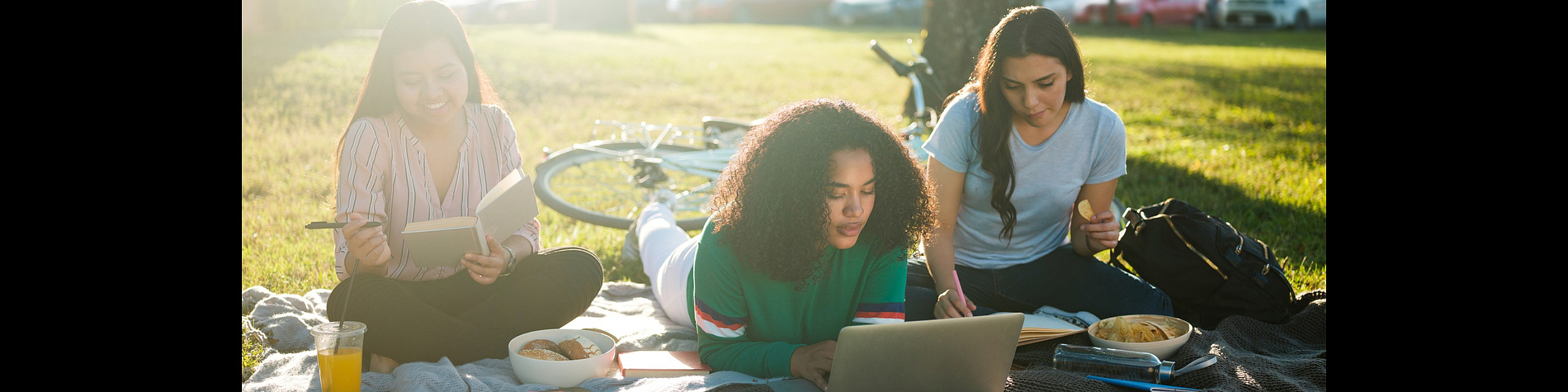 Vibrant outdoor study session with friends relaxing on a grassy field, sharing snacks, and working on a laptop under the sun.
