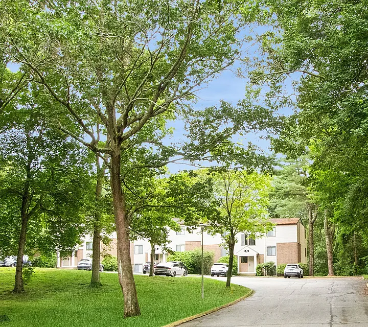 Serene suburban street lined with lush green trees leading to charming townhouses in a peaceful neighborhood.