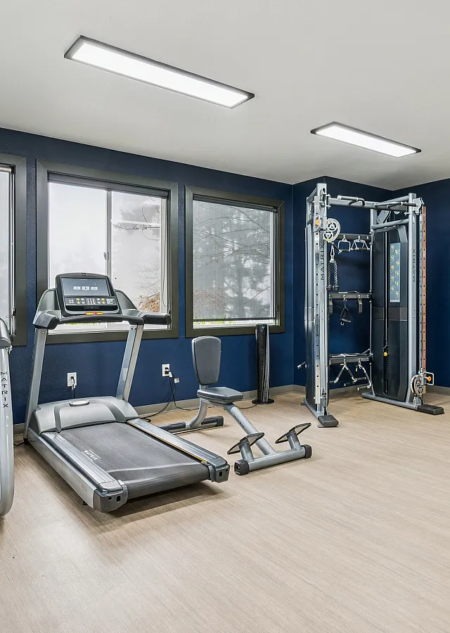 Modern fitness center featuring state-of-the-art equipment, cardio machines, and free weights, ideal for a complete workout experience.