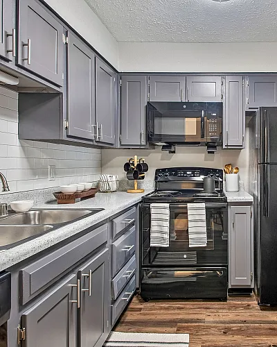 Modern kitchen with sleek gray cabinets, stainless steel sink, and stylish black appliances, offering a blend of elegance and functionality.