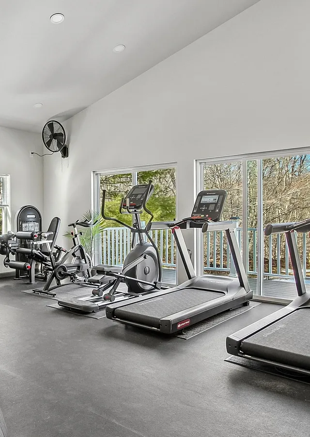 Modern fitness center equipped with treadmills, exercise bikes, and free weights, featuring large windows offering a refreshing outdoor view.