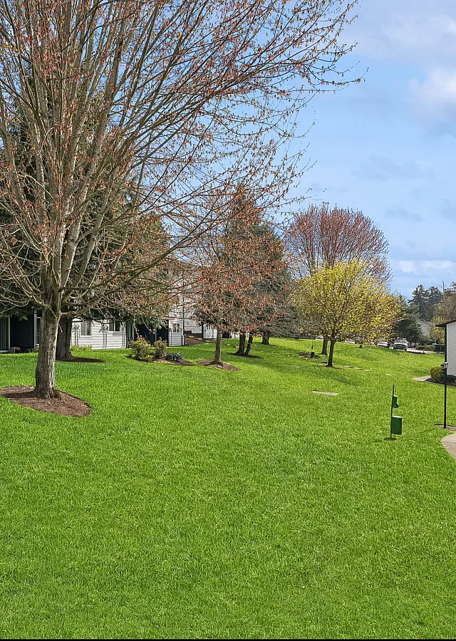 Charming apartment complex surrounded by lush green lawns and budding trees under a bright blue sky.