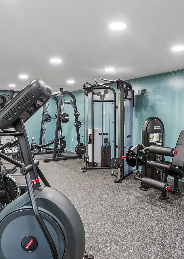 Modern gym facility with state-of-the-art exercise equipment, including treadmills and weight machines, set against serene teal walls for a refreshing workout atmosphere.
