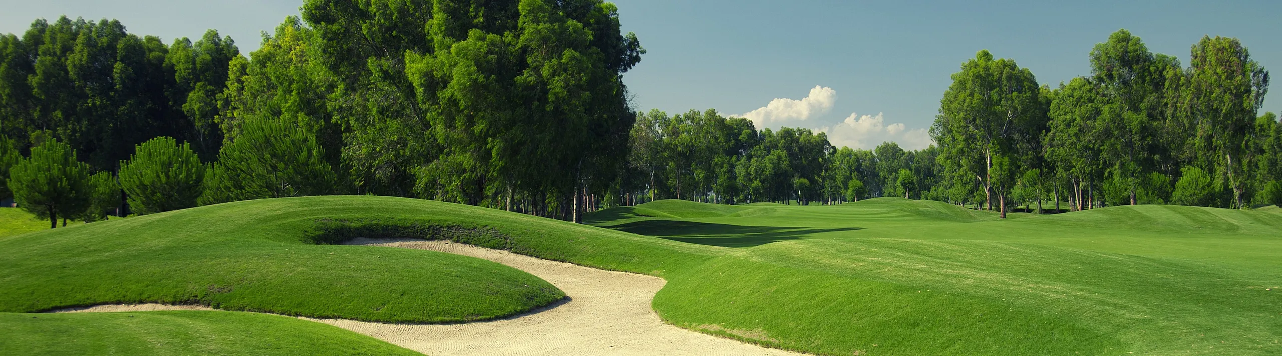golf course near renew at the greens