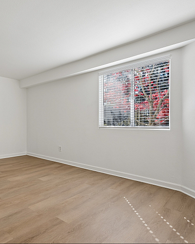 Bright and airy room with elegant wood flooring and large window showcasing vibrant tree views.