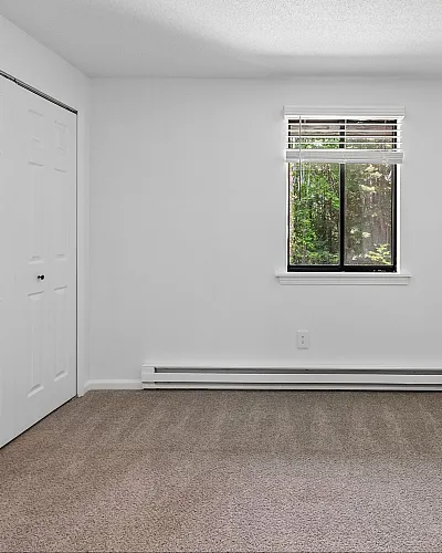 Bright and cozy bedroom featuring soft carpet, a large window with green views, and ample closet space.