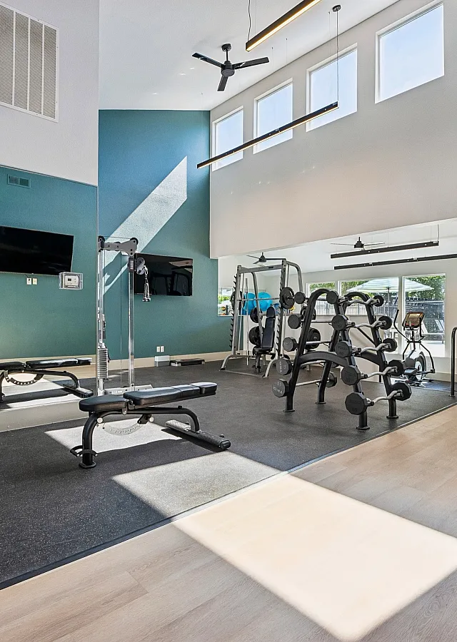 Bright, modern gym with sleek equipment, high ceilings, and large windows welcoming natural light.
