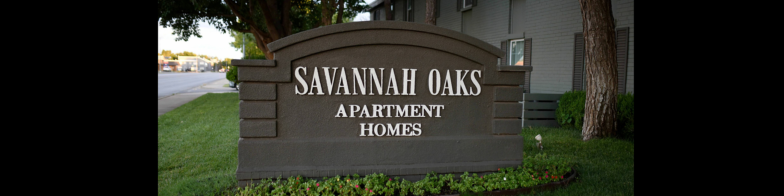 savannah