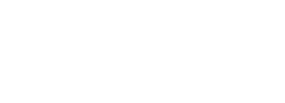 Elevate Bellingham Logo -