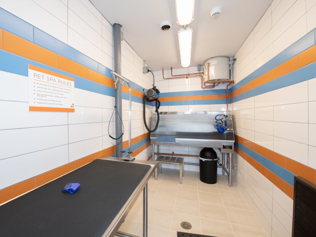 On-Site Pet Spa