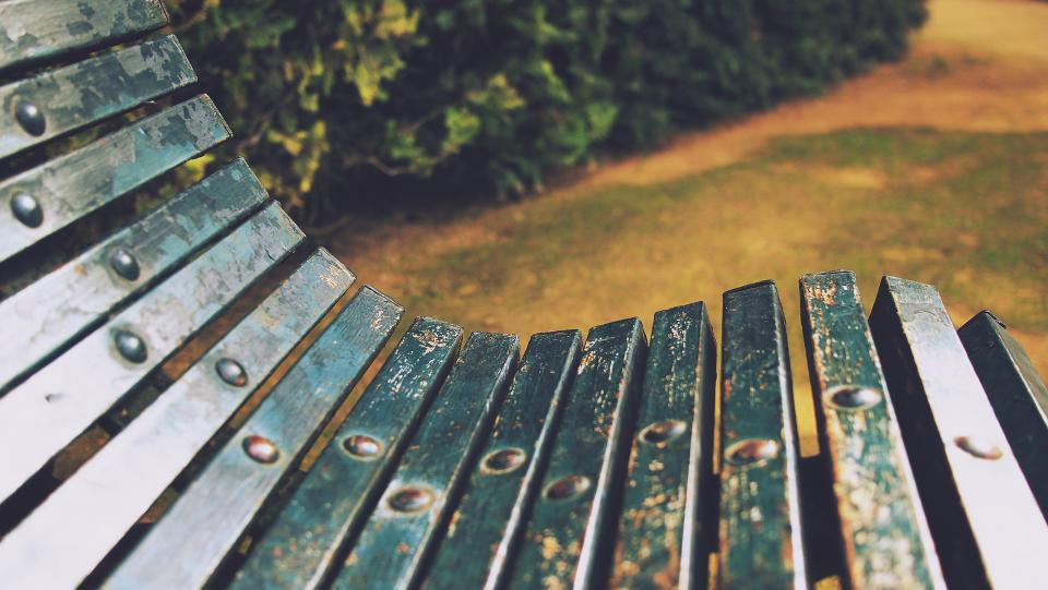 The Locals Guide to the Perfect Picnic Parks in Milwaukee-image