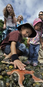 Beach Education and Exploration in Tacoma-image