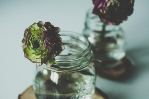 The Best Florists in Town-image