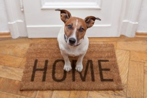 Doorstep Designs-image