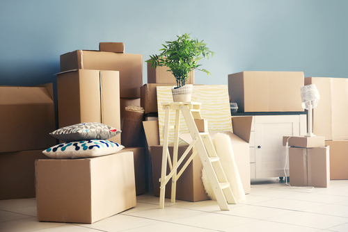 Tips for Applying for a New Apartment-image