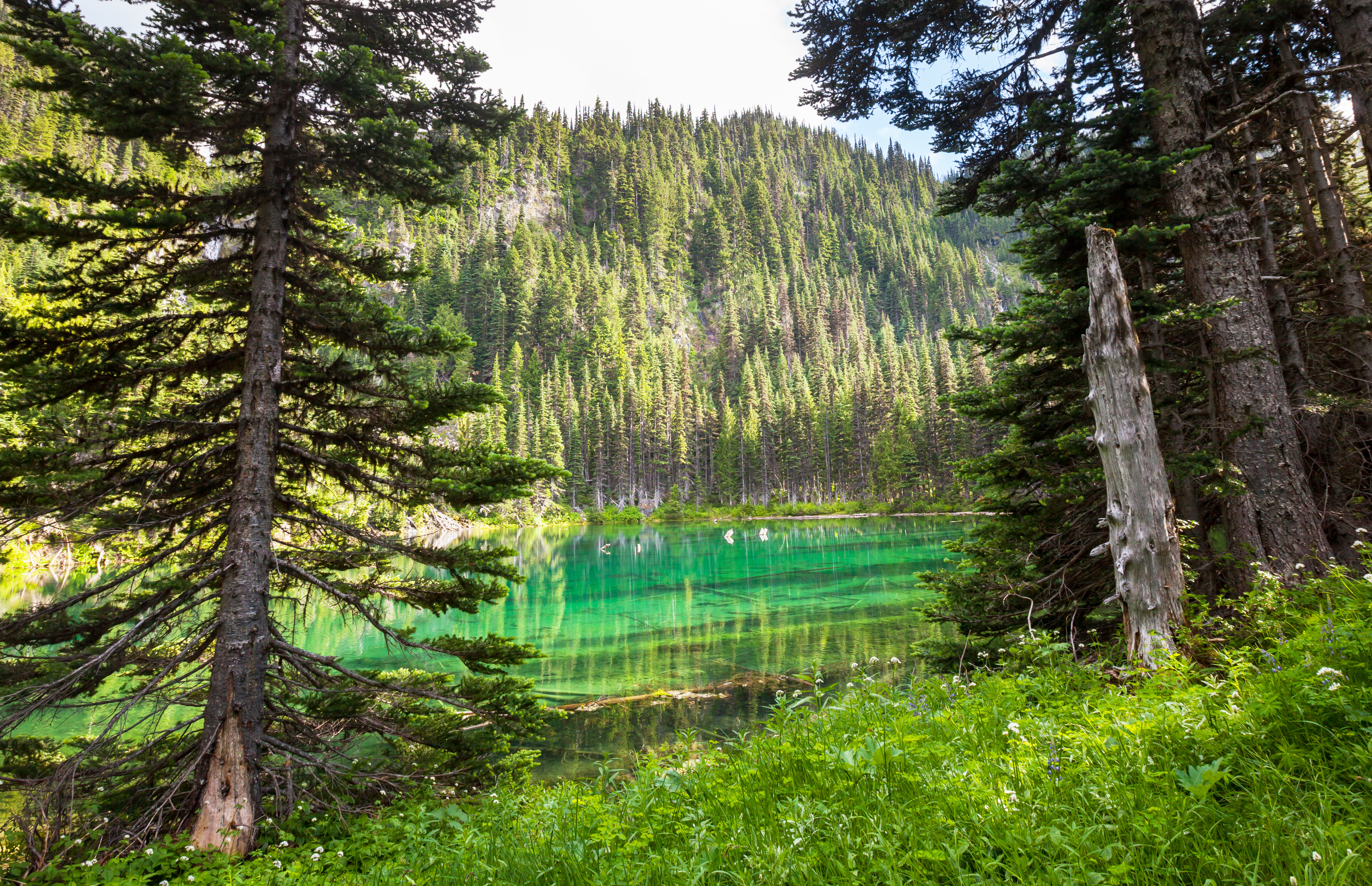 Trail Work Parties Near Tacoma-image