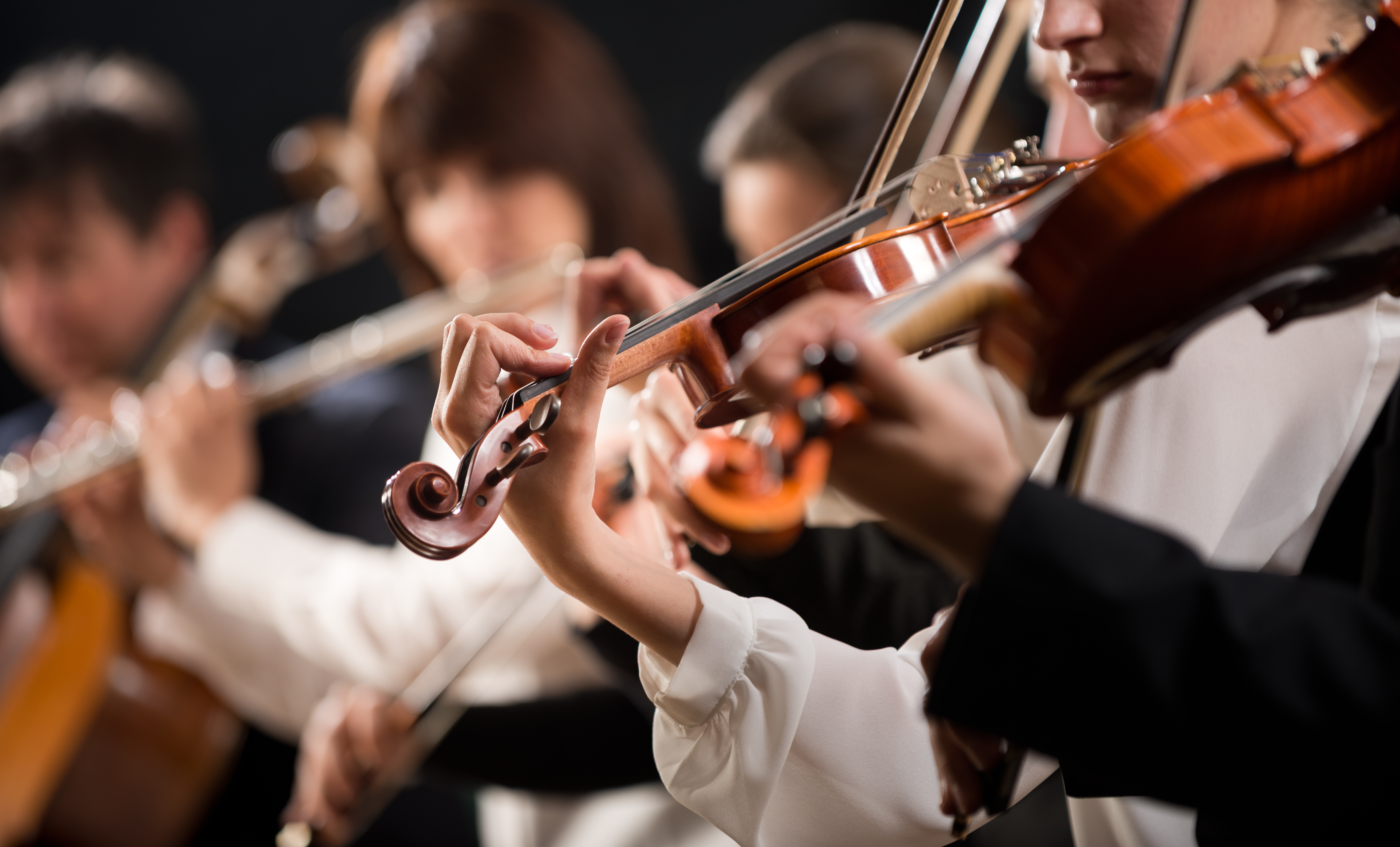 Music Lessons in Tacoma-image
