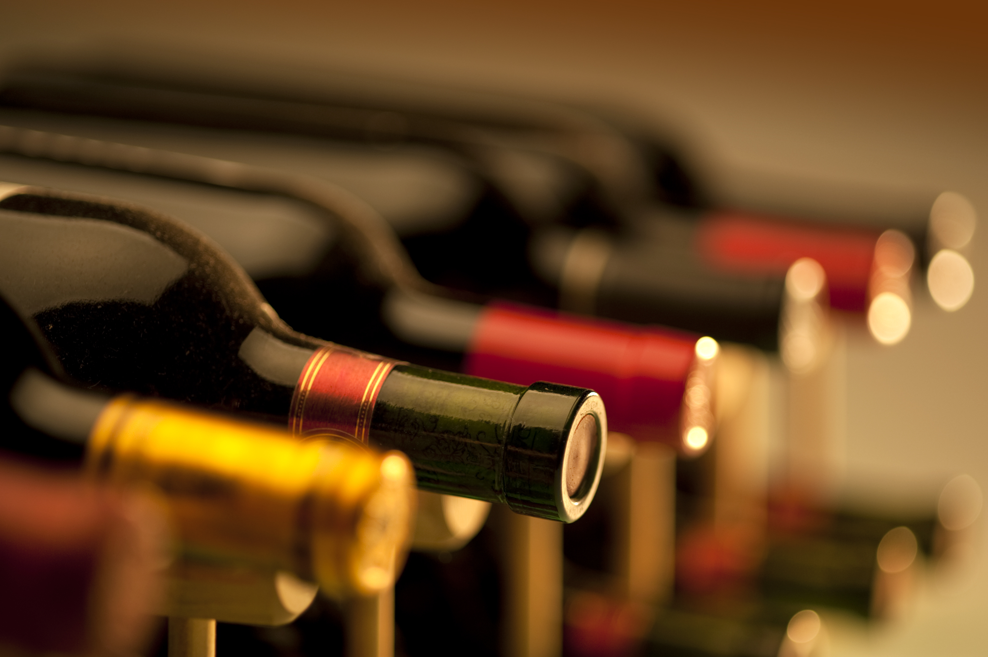Wine Tours in Tacoma-image