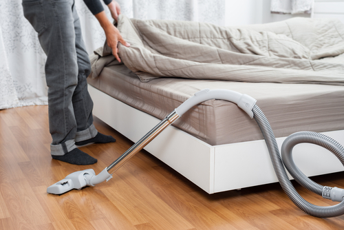 Clean-up Quickly-image
