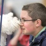 Whats New Near Willow Hill   Puyallup Events-image
