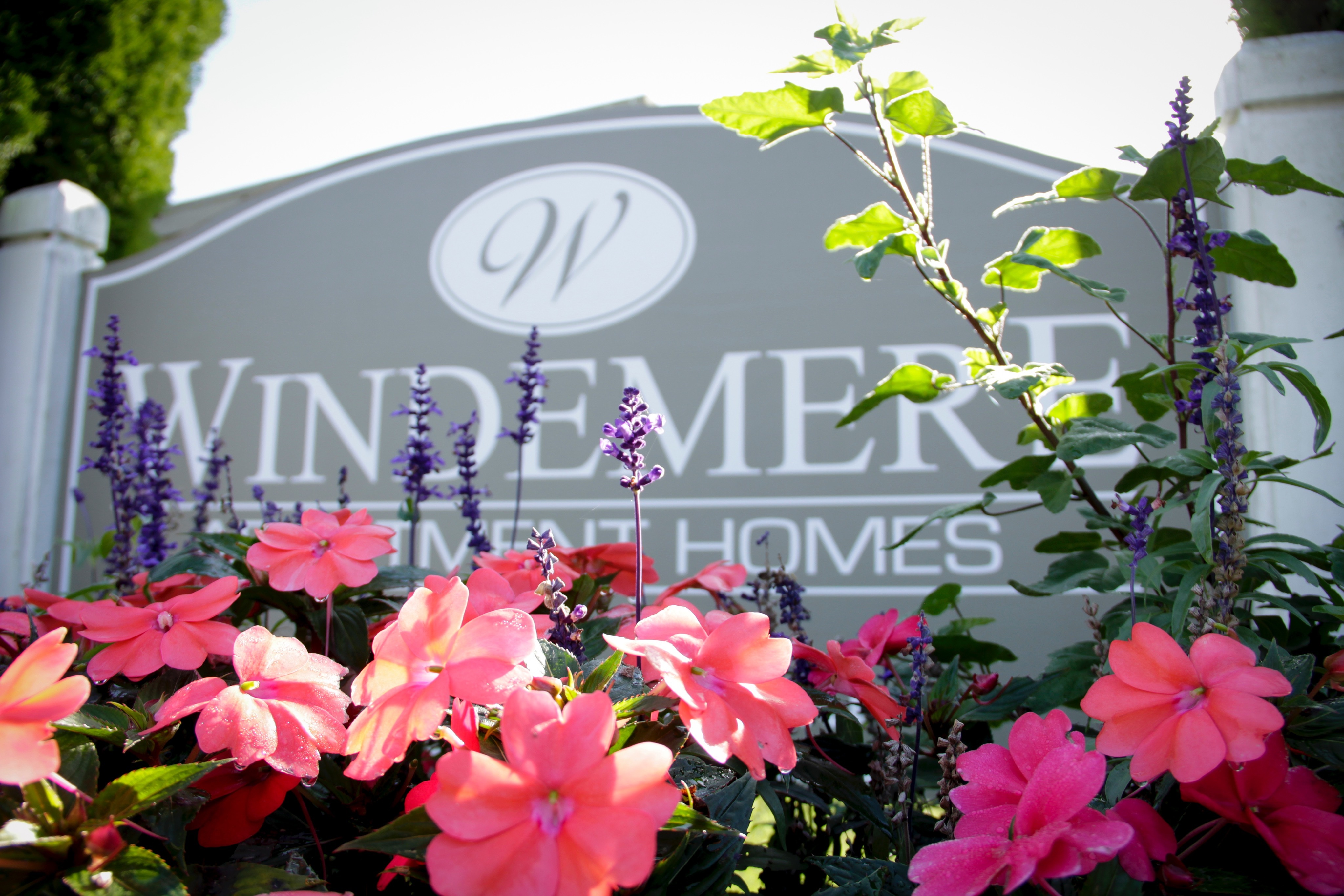 View Photos & Take A Virtual Tour Windemere Apartments