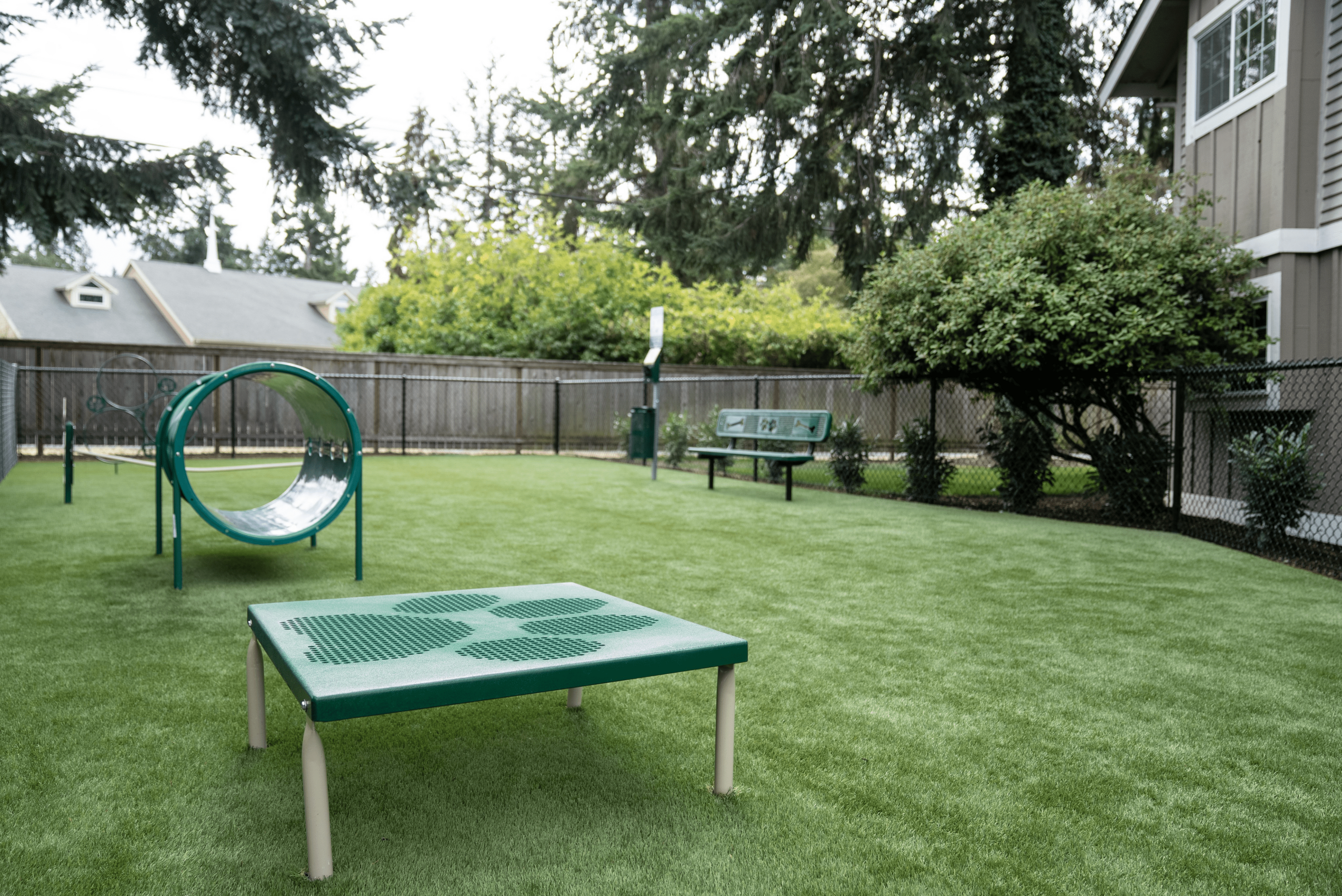 Inviting dog park with agility equipment and seating surrounded by lush greenery.