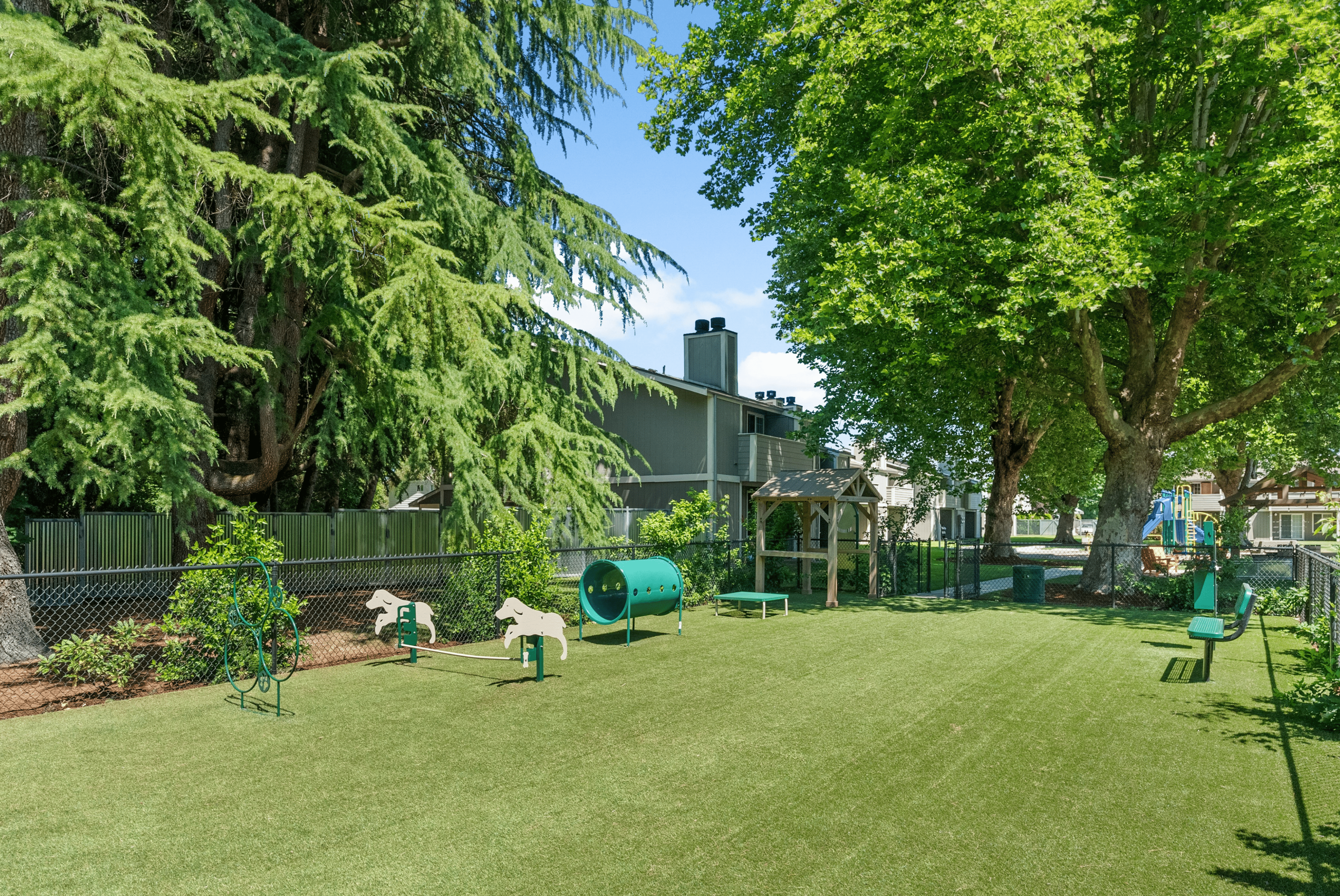 Charming outdoor pet-friendly play area with agility obstacles surrounded by lush green trees.