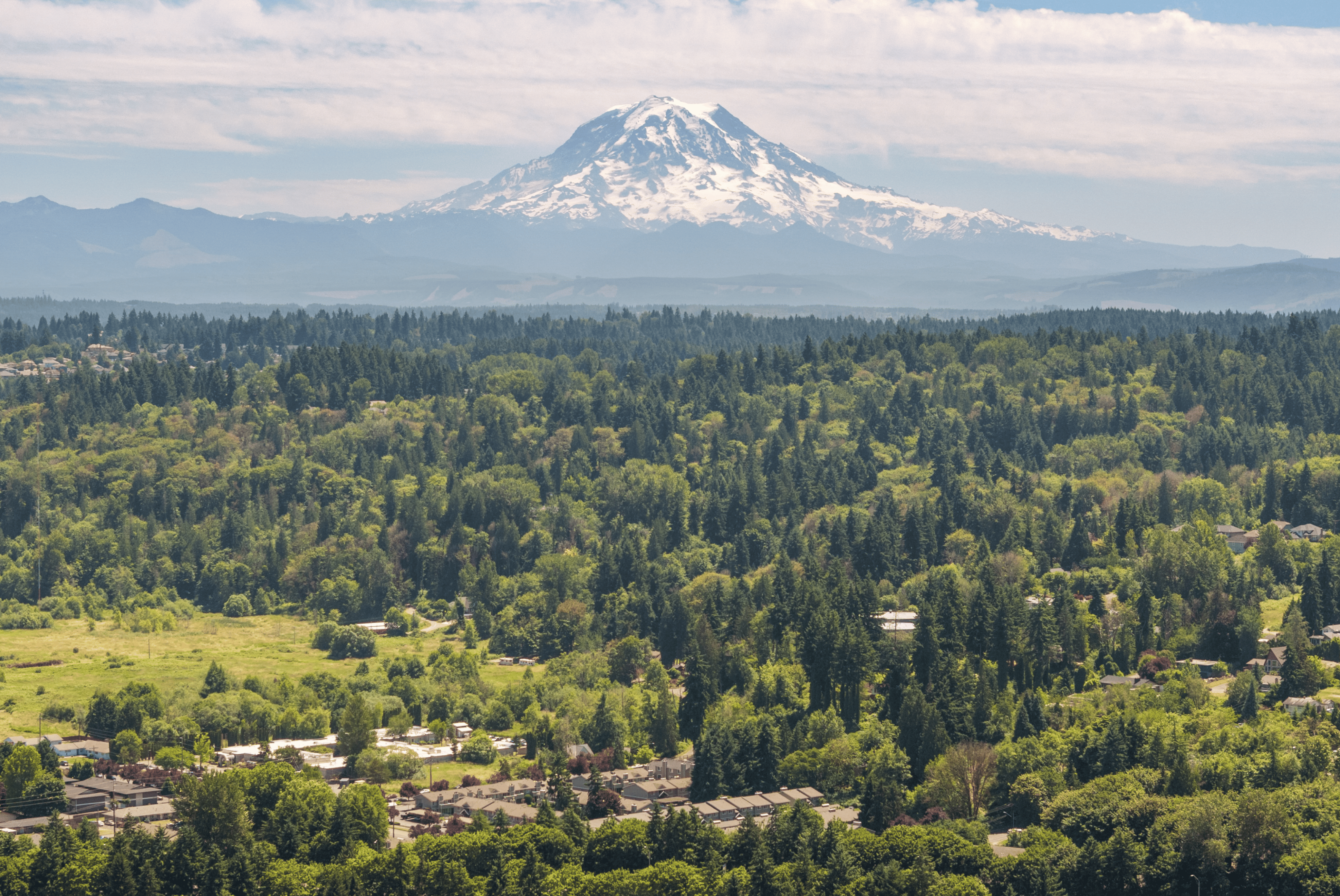 Breathtaking aerial view of lush green forests with a stunning snow-capped mountain backdrop, offering serene and picturesque living environment.