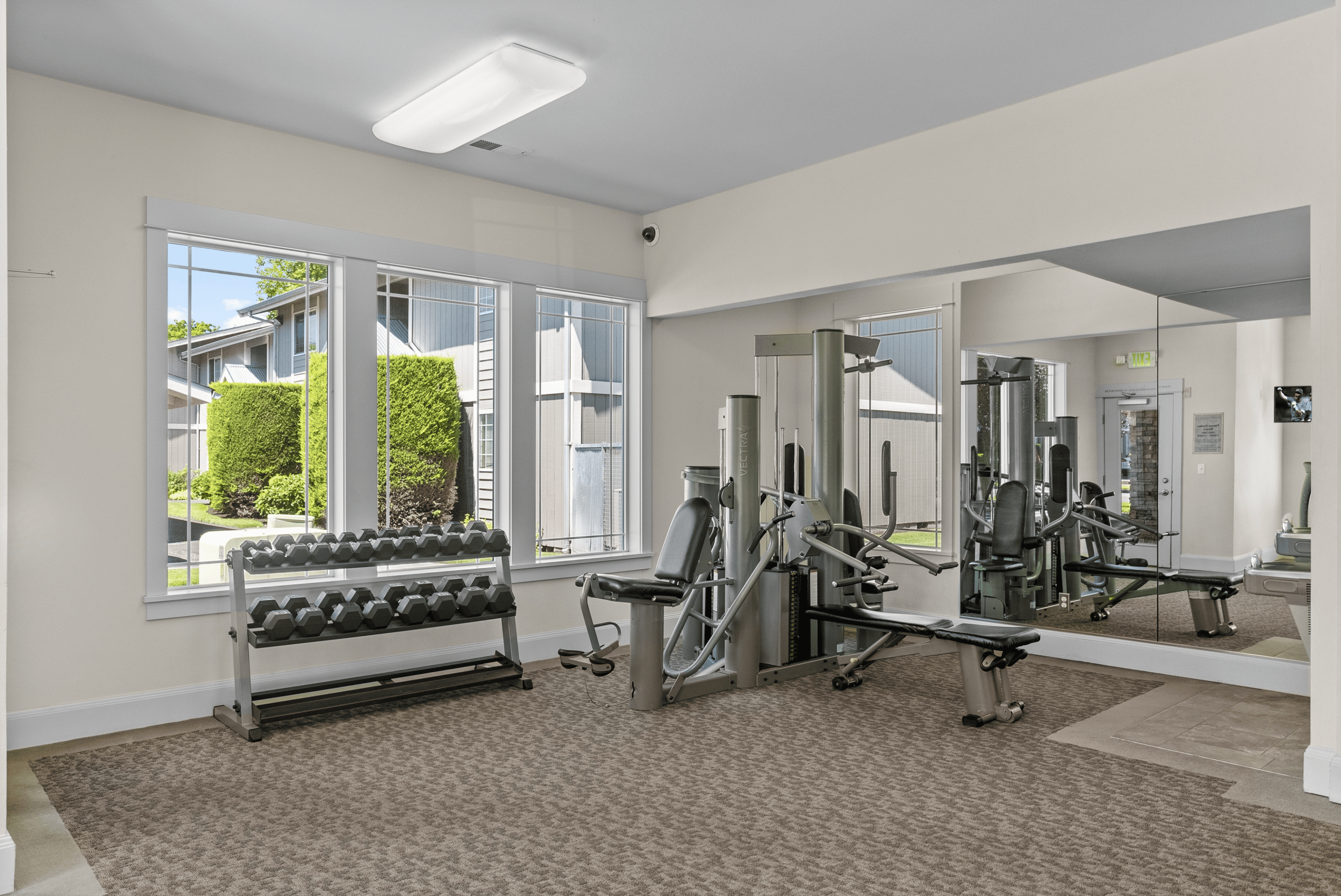 Bright and modern fitness center with large windows, exercise equipment, and mirrored walls in an upscale apartment complex.