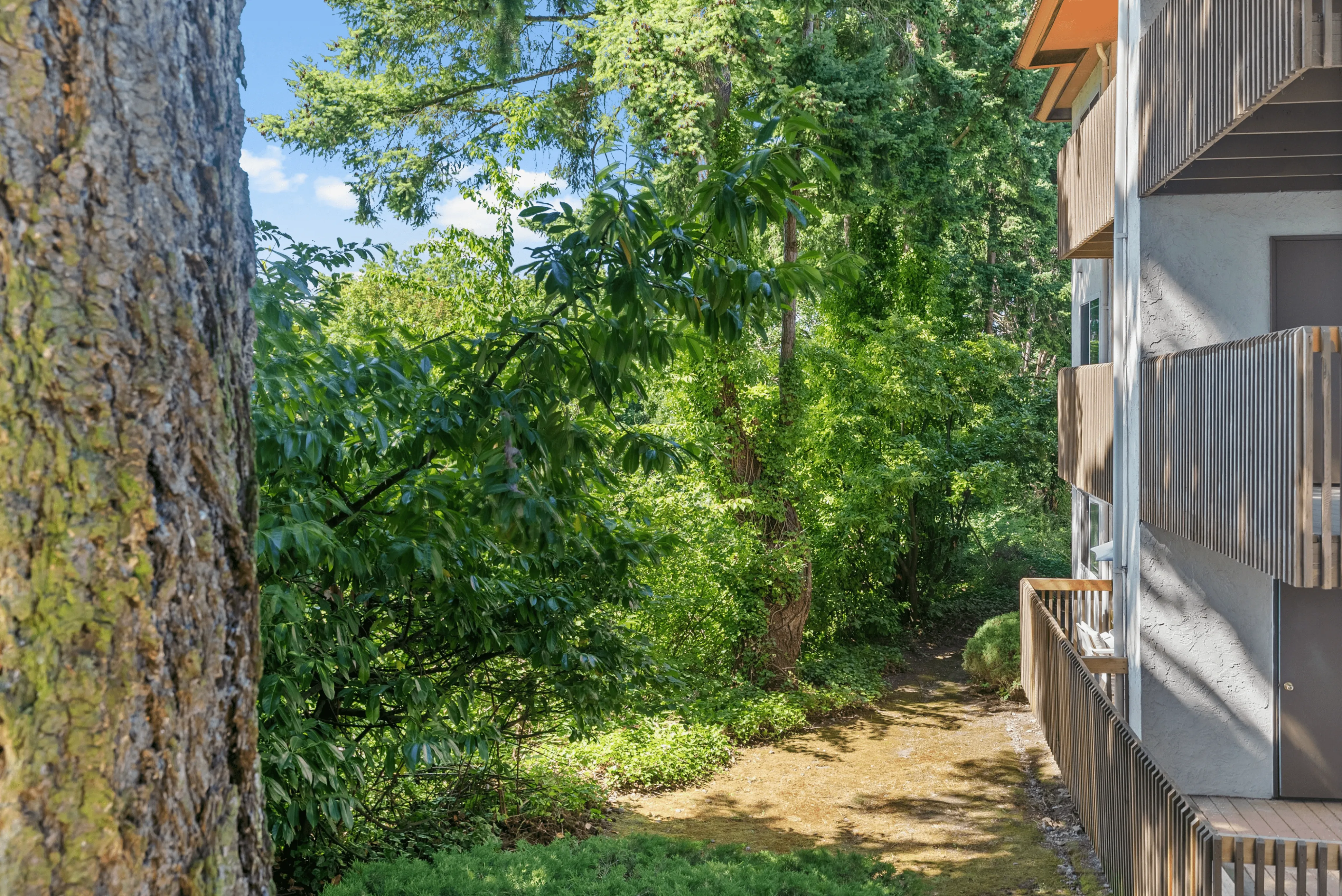 Charming apartment view surrounded by lush green forest, offering serene and natural ambiance.