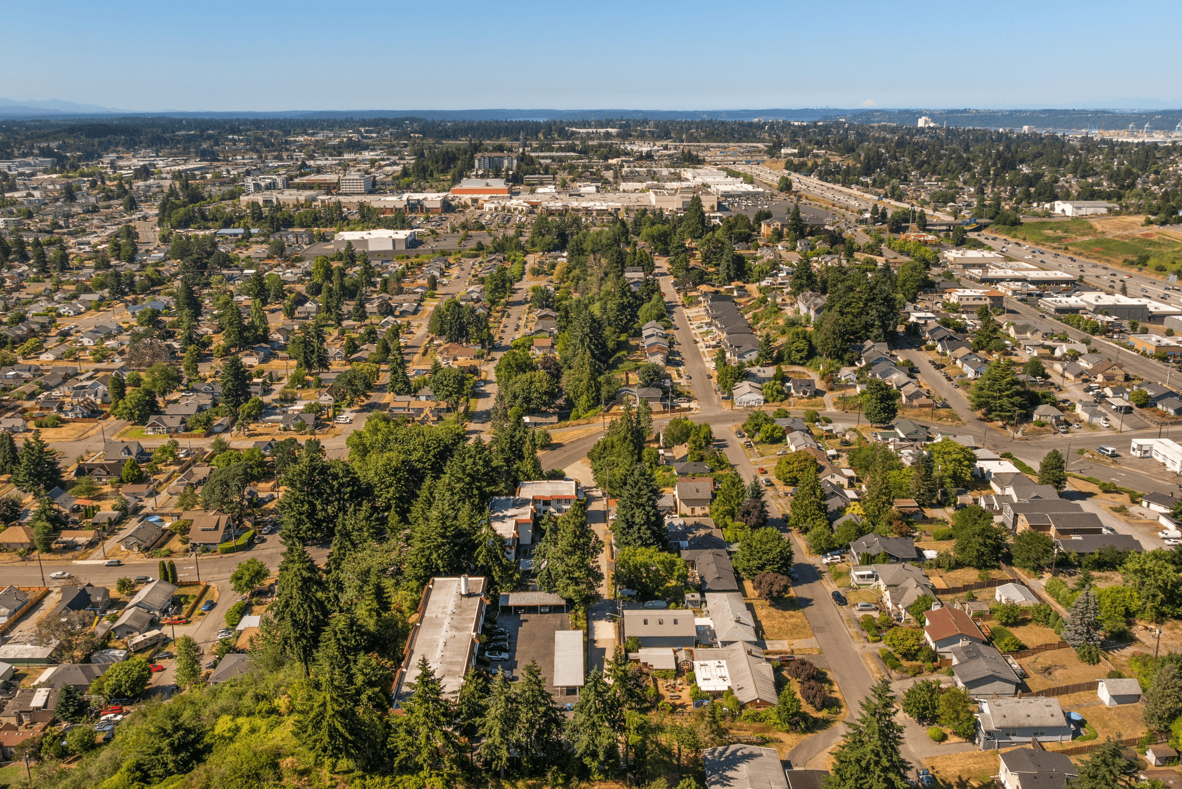 Scenic aerial view of a vibrant suburban neighborhood surrounded by lush greenery and tree-lined streets.