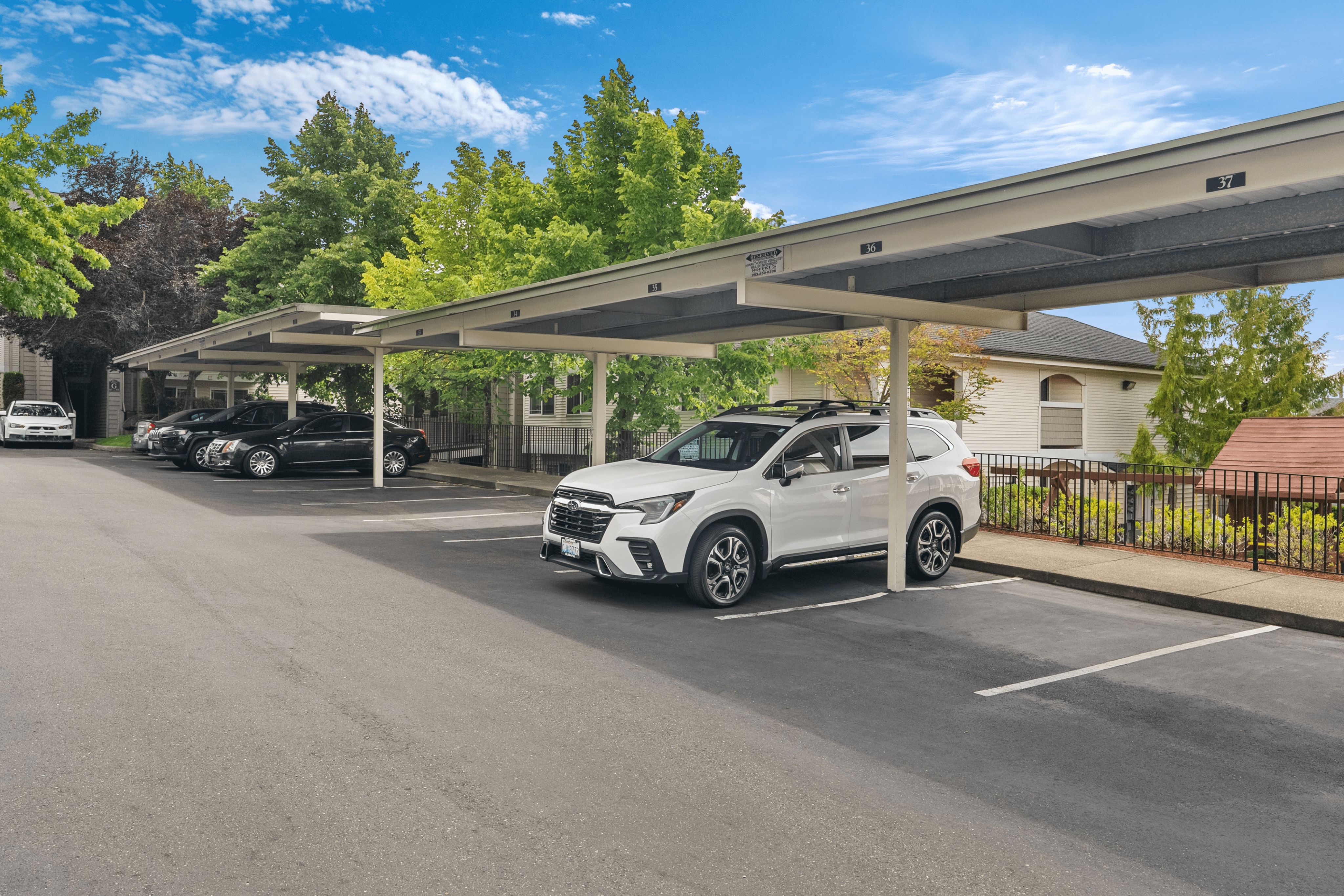 Inviting covered parking area with modern vehicles, lush greenery, and a clear blue sky backdrop, enhancing apartment convenience and aesthetics.