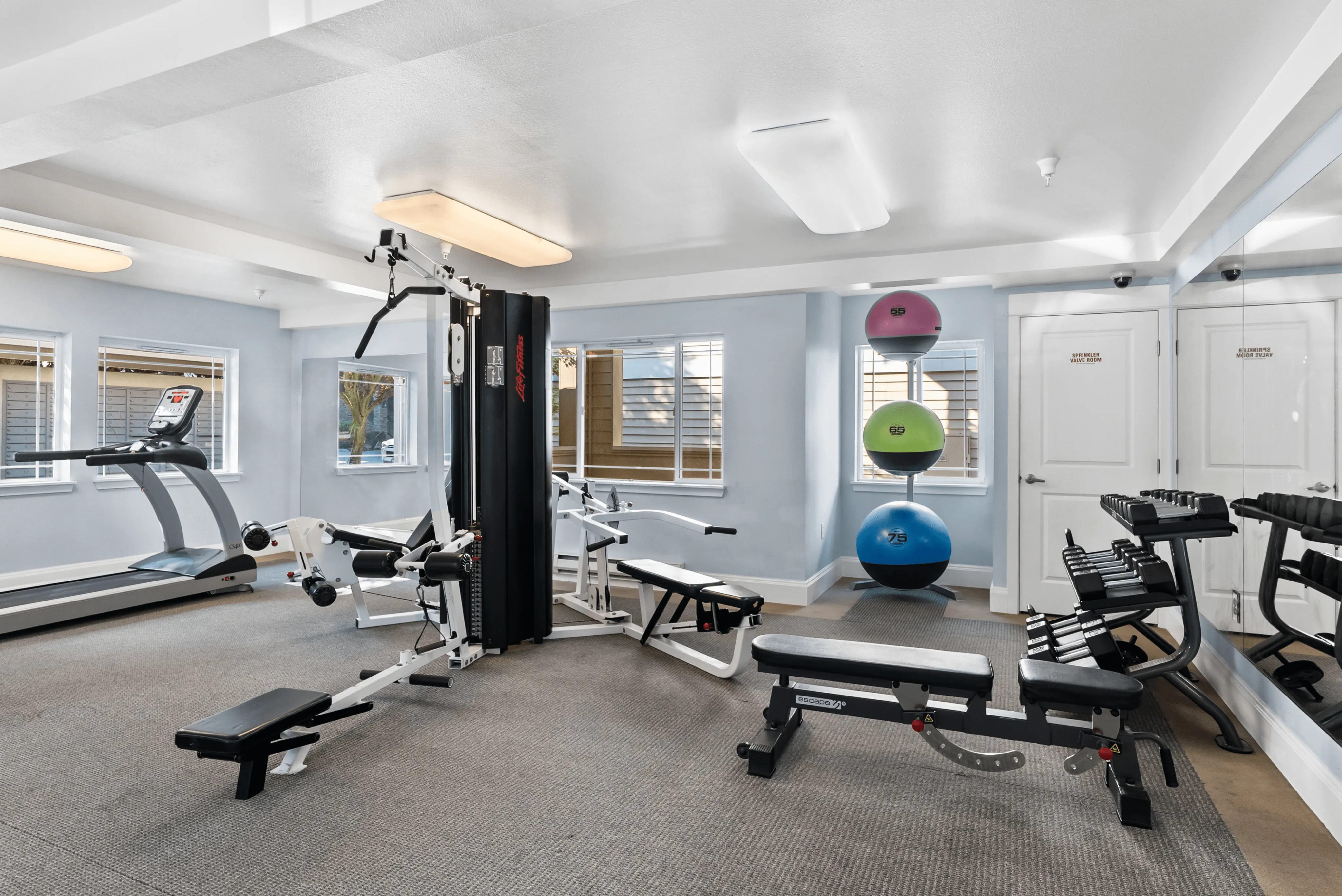 Modern fitness center with state-of-the-art treadmill, versatile weight machines, and vibrant exercise balls in a bright, spacious room.