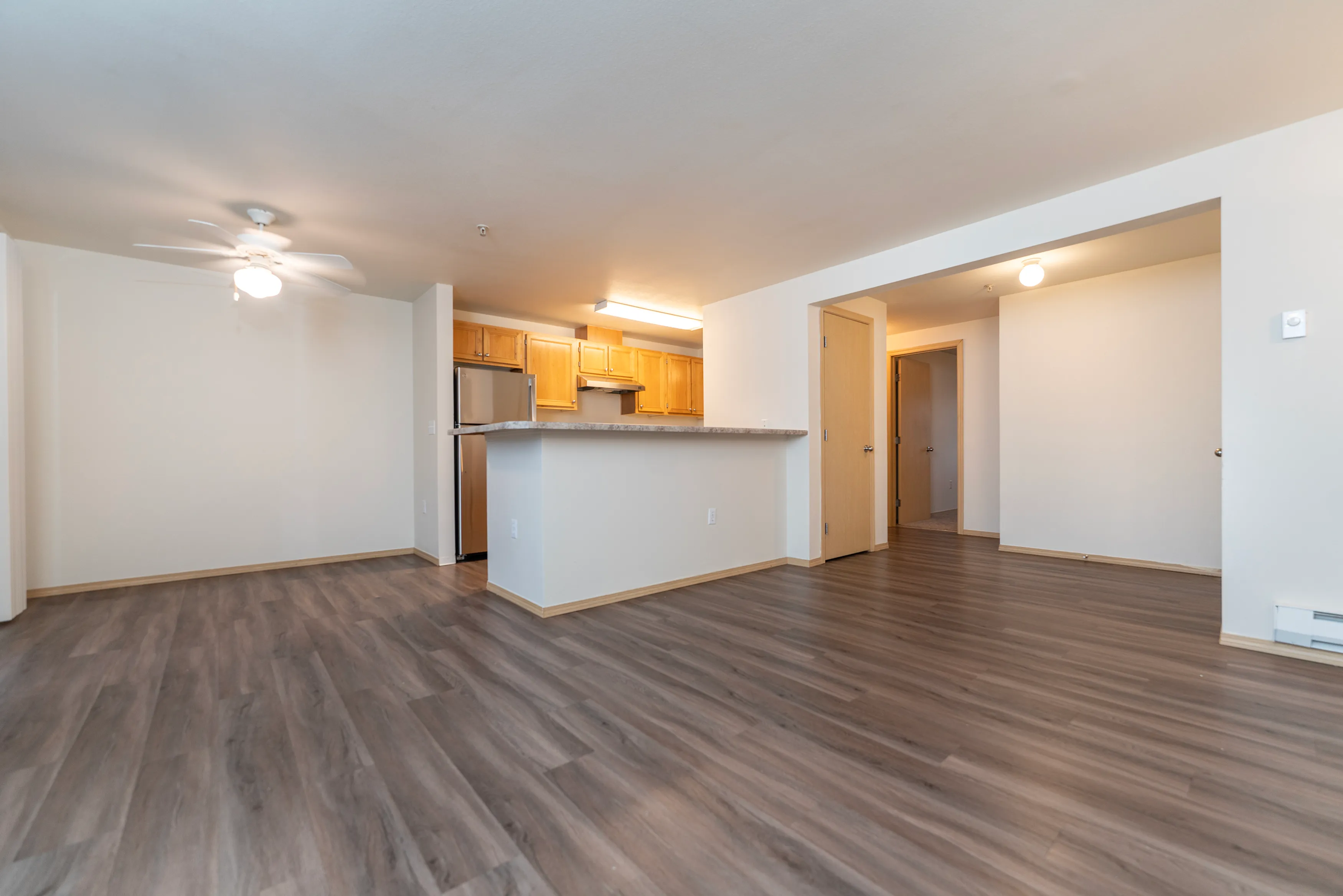Contemporary open-plan living space featuring sleek hardwood floors and a stylish kitchen with stainless steel appliances.