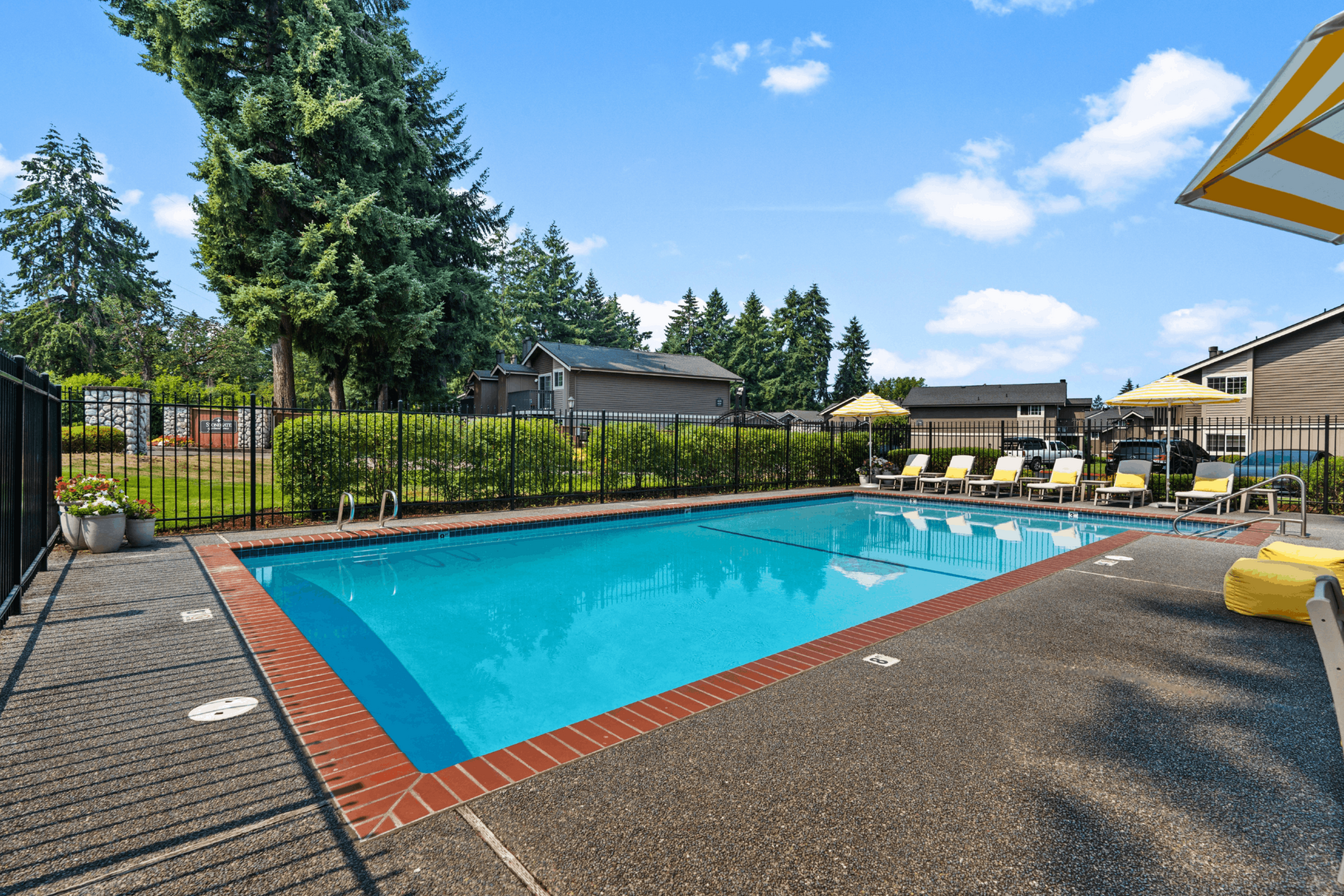 Inviting outdoor pool area surrounded by lush trees and sun loungers, perfect for relaxation and leisure.