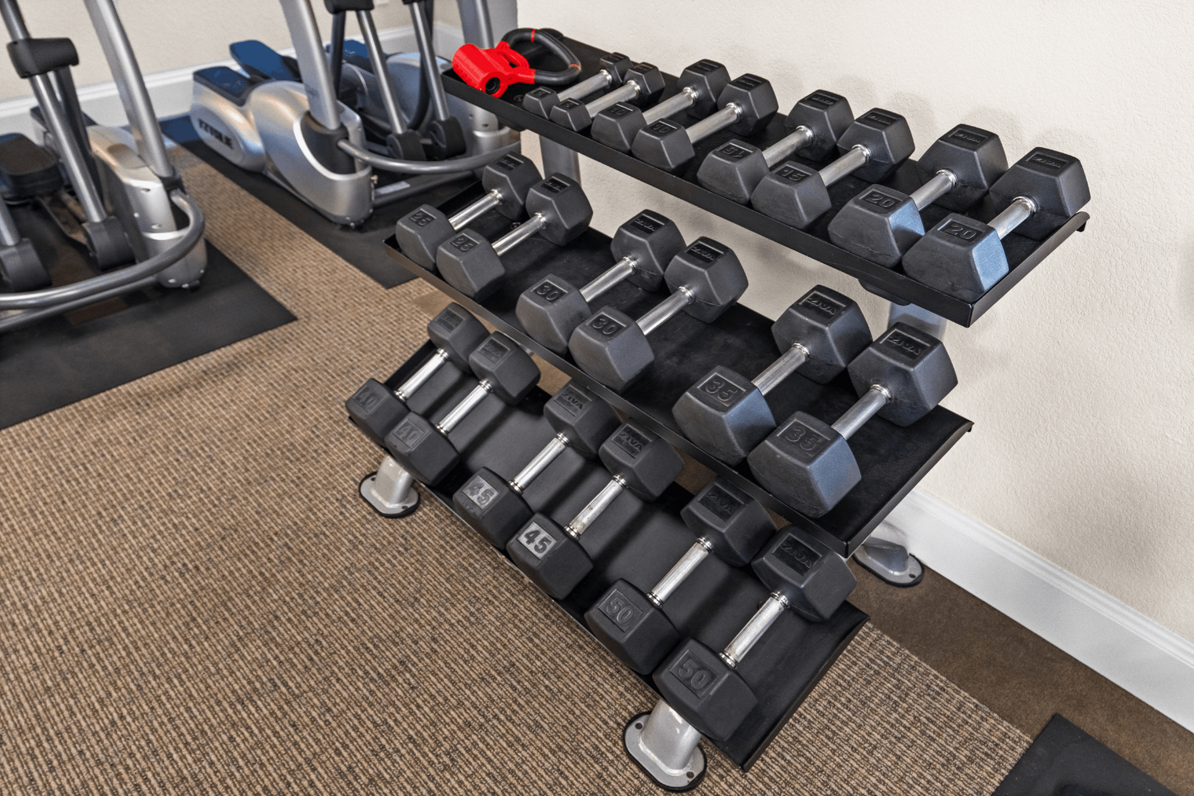 Modern gym facility featuring a neatly organized rack of dumbbells complemented by state-of-the-art exercise machines.