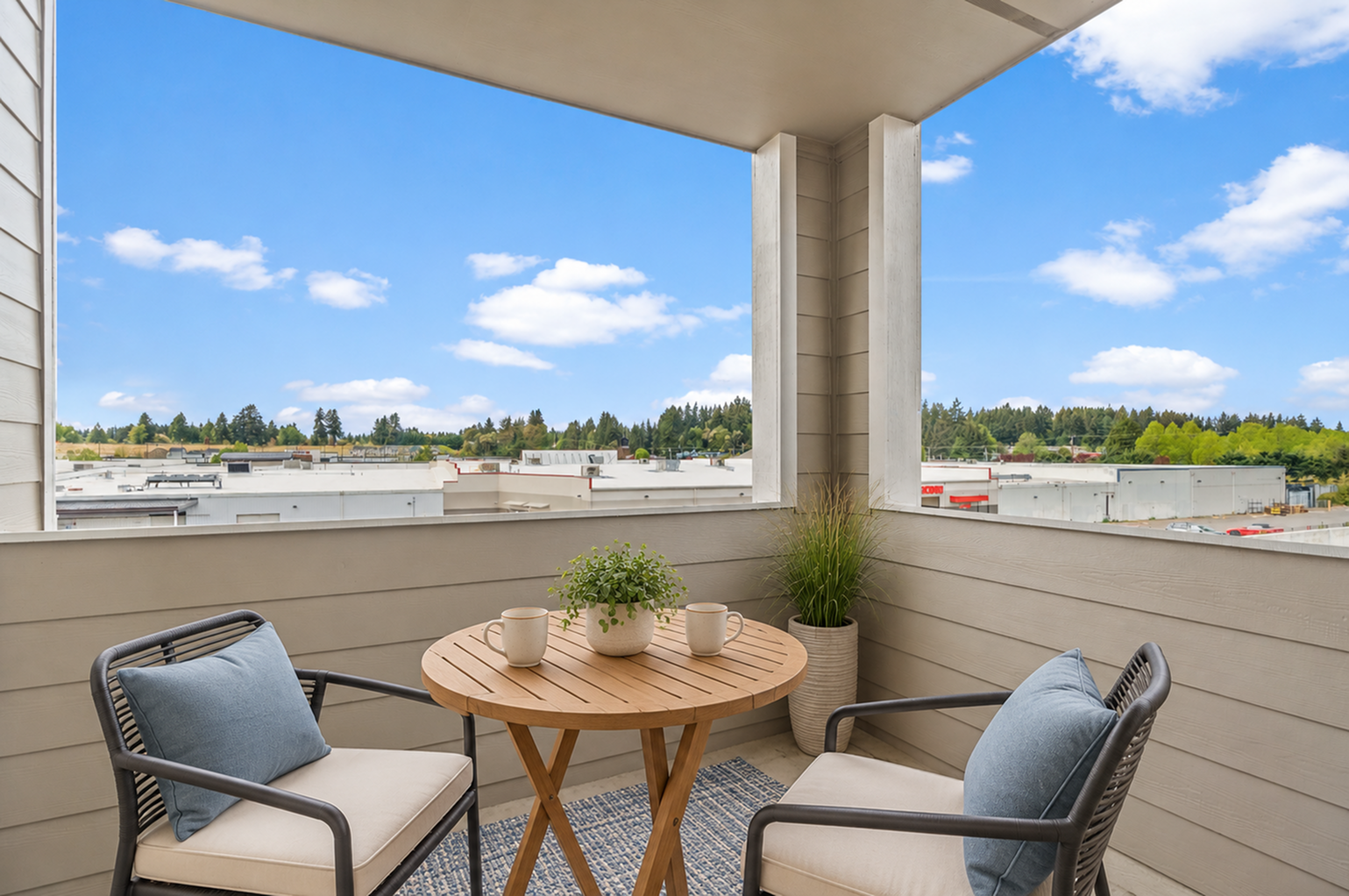 Blue Ridge Apartments - Balcony View