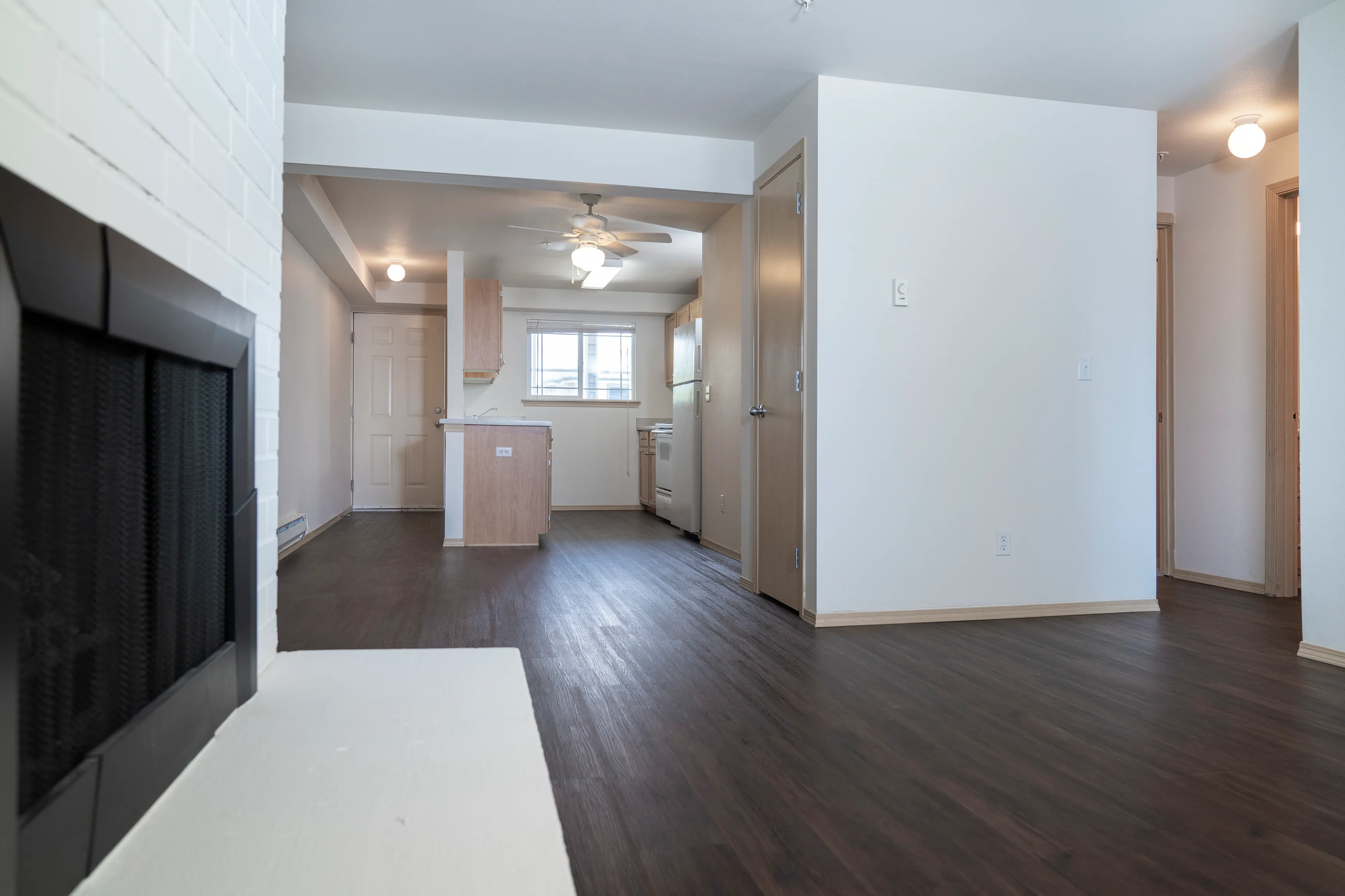 Kitchen/Livingroom