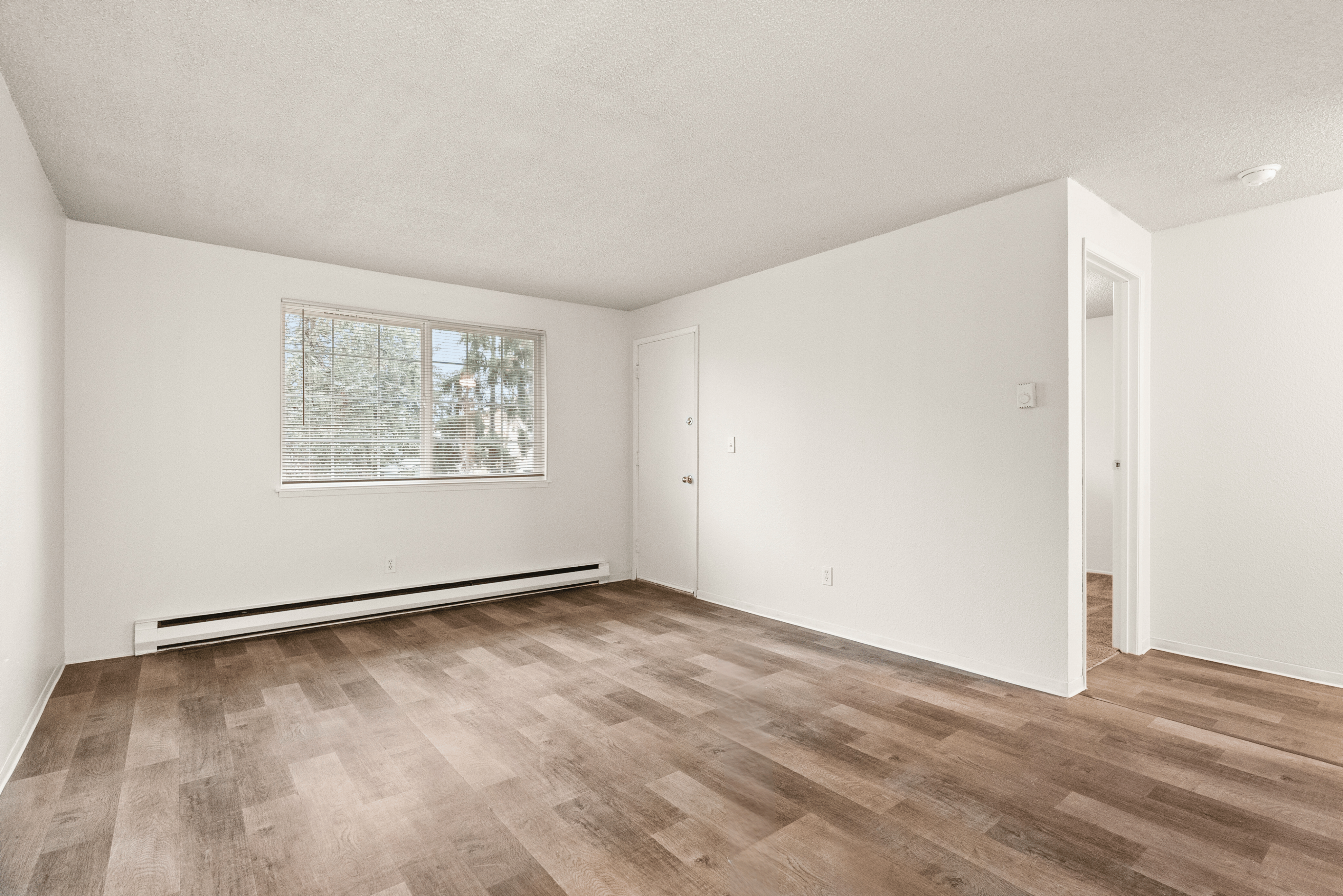 1 Bed 1 Bath - 450 Sq Ft