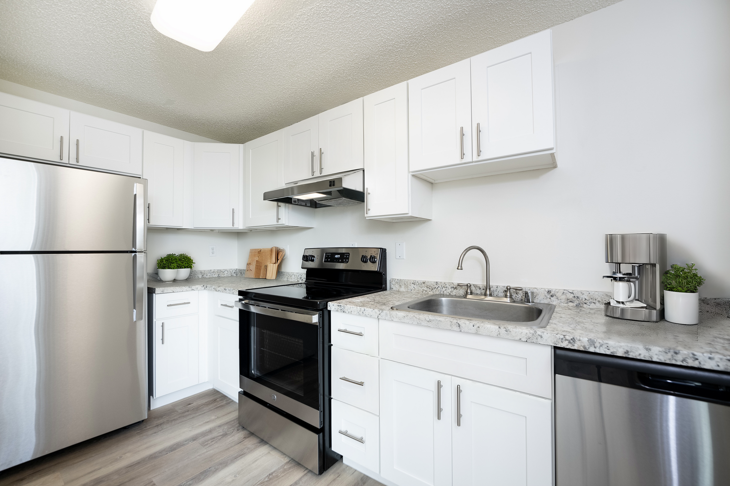 1 Bedroom Standard Staged