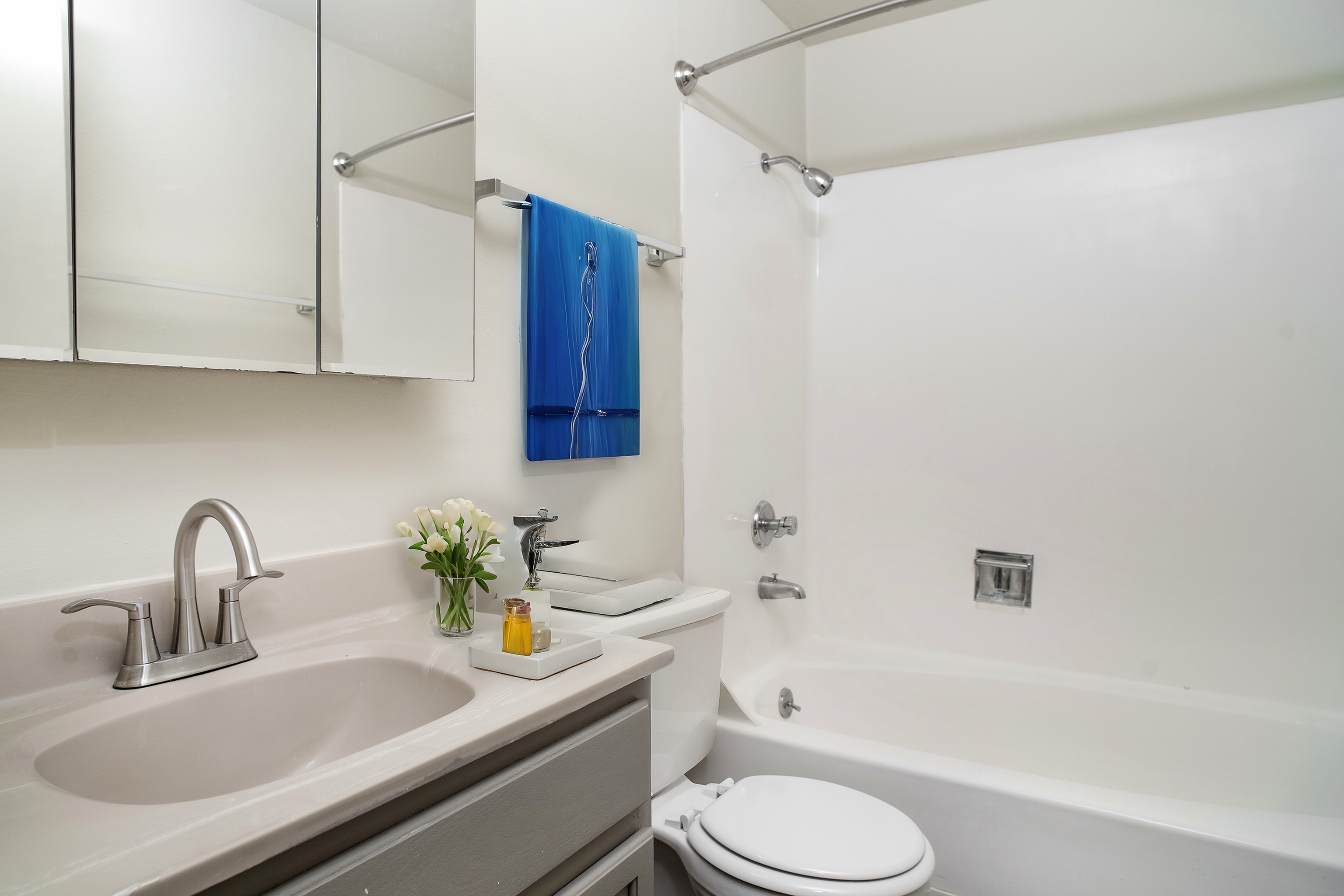 1 Bedroom Deluxe Staged