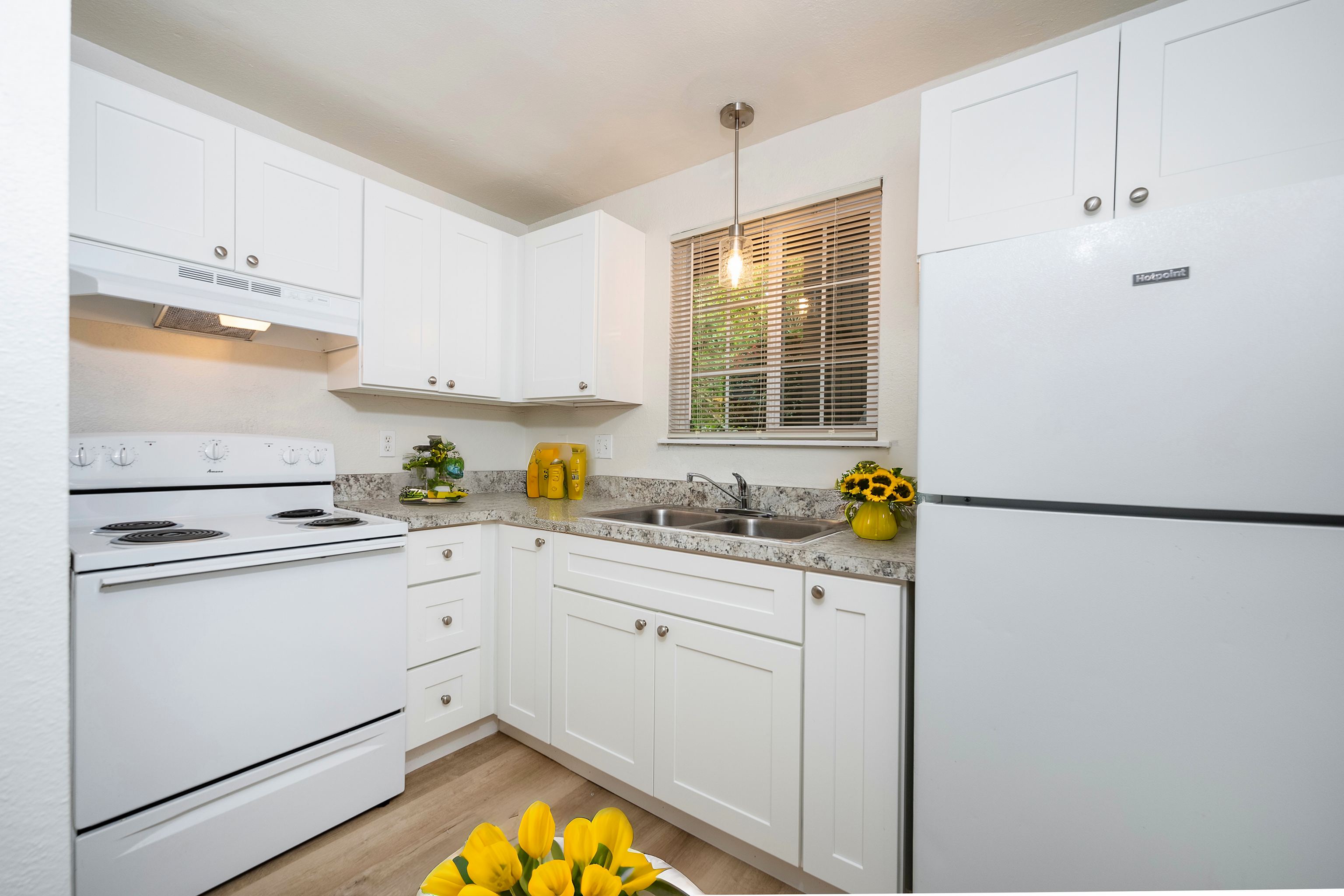 Charming modern kitchen with white cabinets, sleek countertops, and natural light.