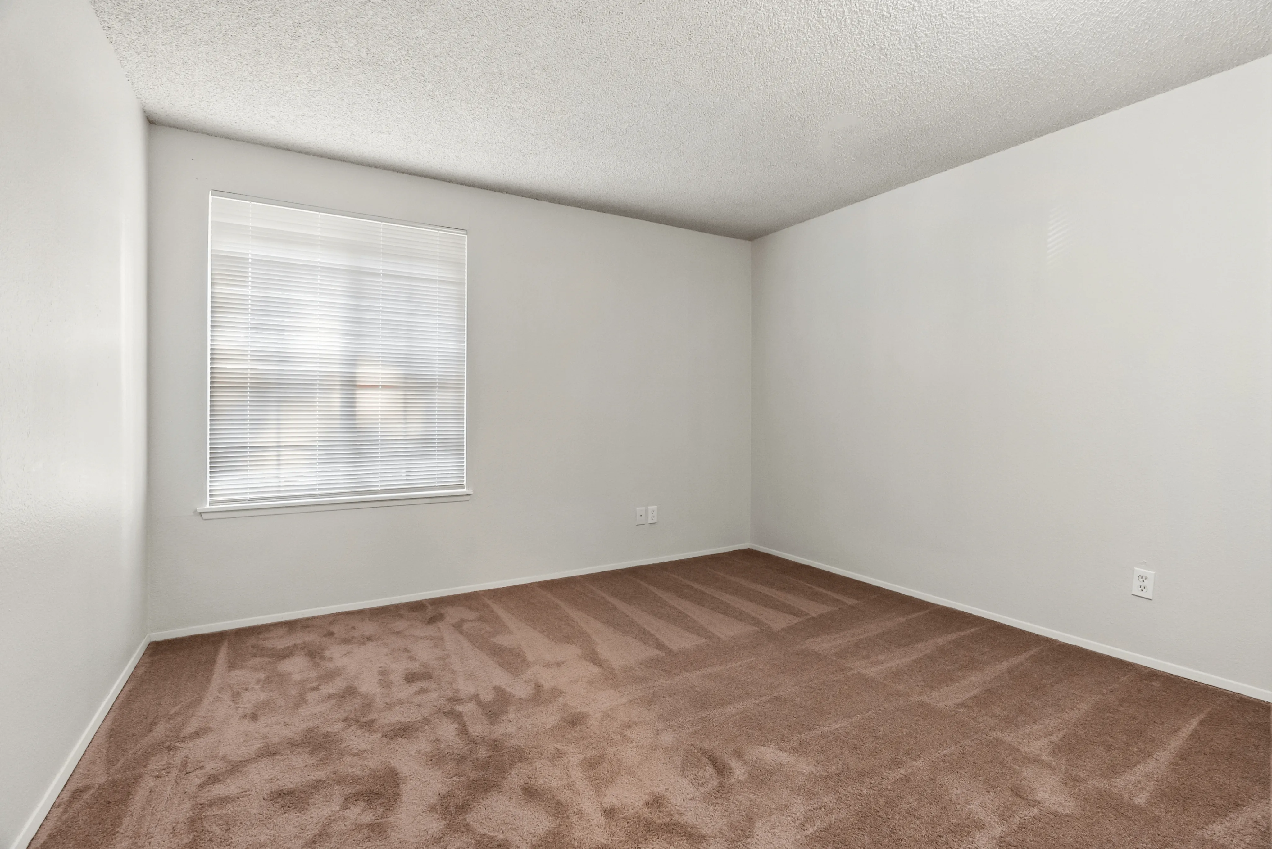 Well-lit empty bedroom with clean beige carpet and a large window.